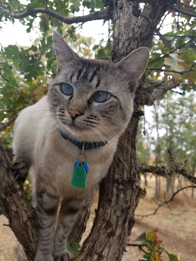 Wasco RV Park - Thumbnail
