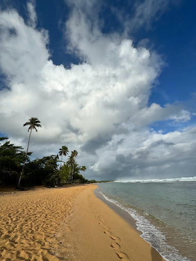 Playa Chatarra Gallery - United States