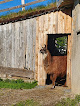 photo de Lama-Erlebnishof Nesselwang à Nesselwang