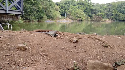 Photos of Ecoparque Las Garzas