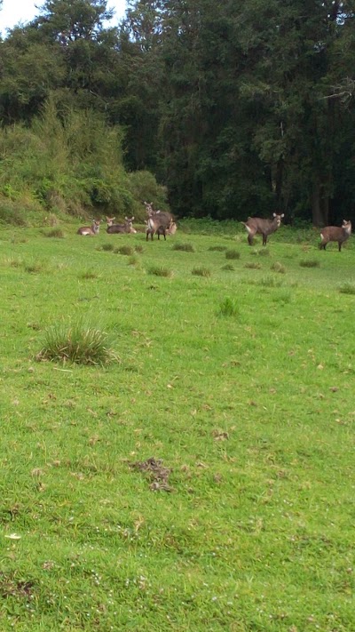 Photos of Mount Kenya Naro Moru Park Gate