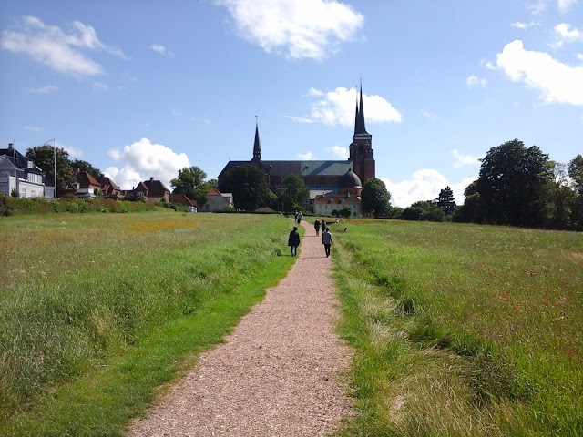 Cathédrale de Roskilde