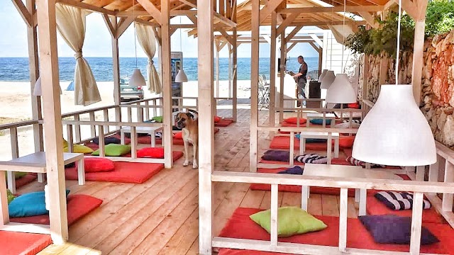 Pura Vida Beach Hostel