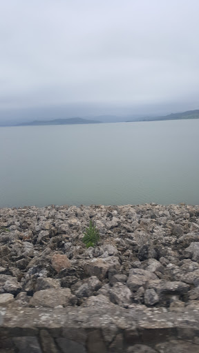Presa de Barbate - Thumbnail