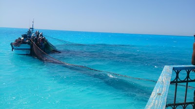 Photos of Green Beach Association