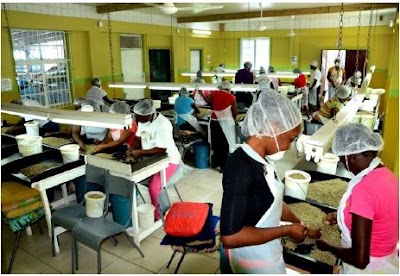 Photos of Mavis Bank Coffee Factory (Home of JABLUM)