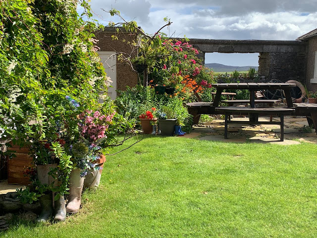 Anderson's Harbour Cottages by null