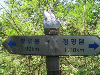 Photos of 뾰루봉