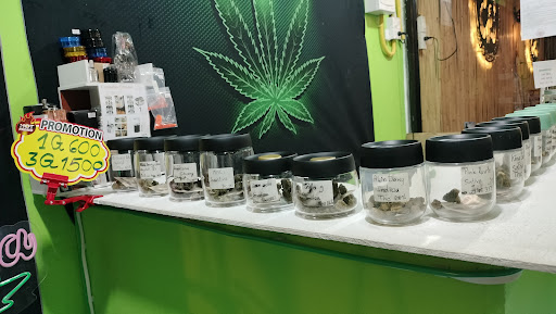 Happy Gunchaa (Cannabis)