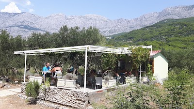Photos of Beach Bar Lori