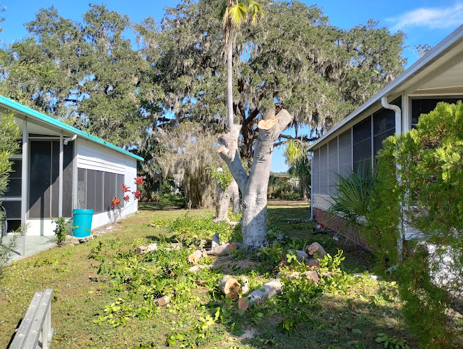 Tecos Total Tree LLC