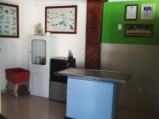 Servicios Veterinarios "VETEQ" Gallery - Mexico
