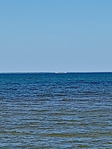 Bebe Beach - Visual