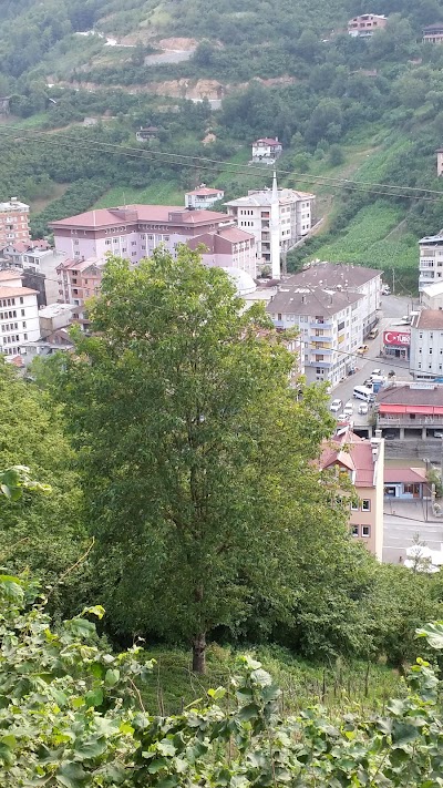 Photos of Ey&uuml;p Aşık Parkı