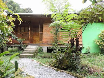 Photos of Reserva Natural De La Planada