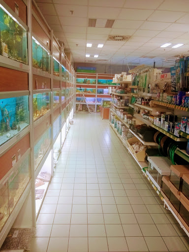 Aquarien Meyer - Visual