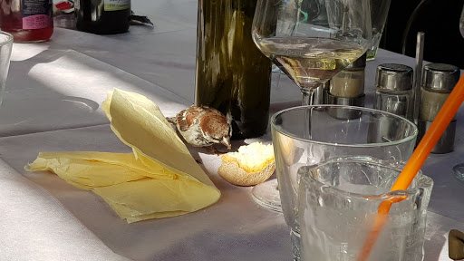 Trattoria Turri - Thumbnail