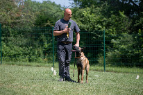 Centre canin NTEC à Frontignan