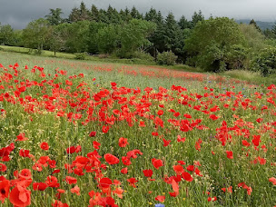Photo n°19 de La Villa des Raspes à Viala-du-Tarn (Centre de bien-être)