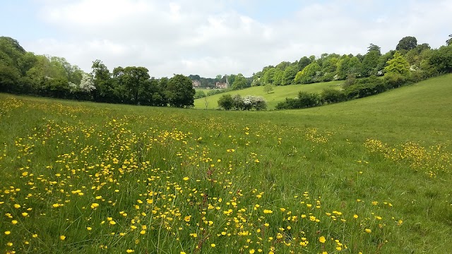 National Trust - Greys Court