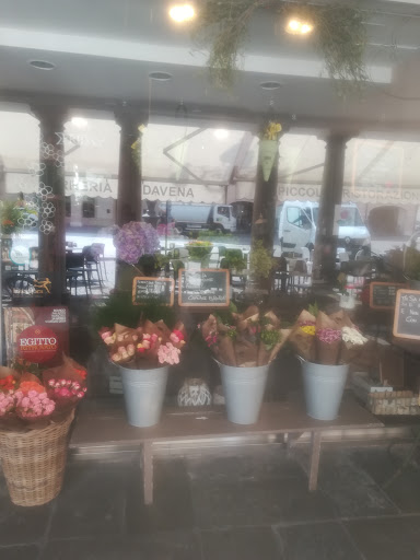 Frida's Rovigo | Italian Flower Stores - Thumbnail