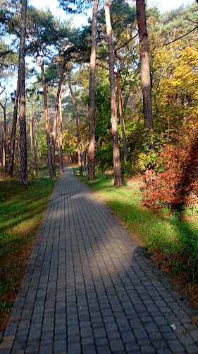 Park Sosnowy - Ciechocinek