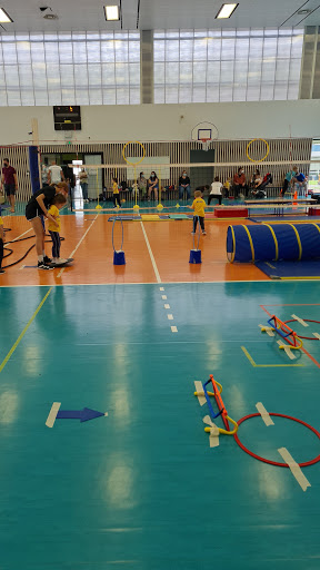 Adolphe Pajeaud Gymnasium - Thumbnail