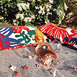 Photo n°6 de Les Caves du Mistral à Ambérieu-en-Bugey (Caviste)