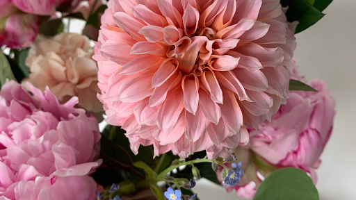 Rosewoods Floral - Thumbnail