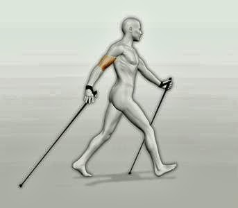 LoaWalking - Visual