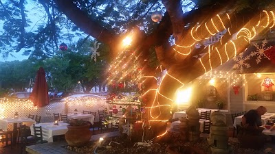 Photos of New York Pasta Garden