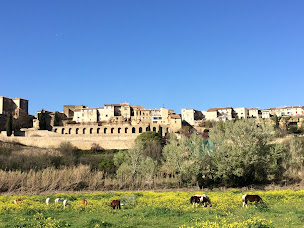 Photo n°4 de SD Luberon Immobilier à Lauris (Agence immobilière)