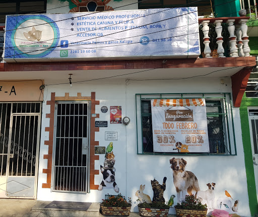 Veterinaria Perros Y Gatos Xalapa