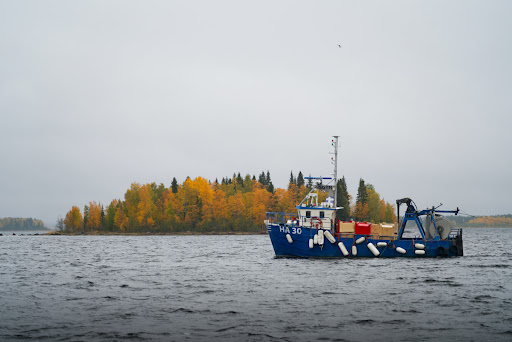 Guldhaven Pelagiska AB - Thumbnail