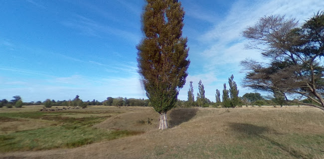 Hauraki Rail Trail - Other