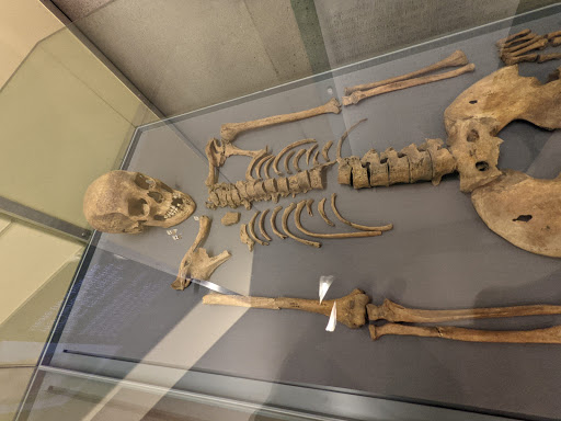 DIG: An Archaeological Adventure - Thumbnail
