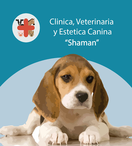 Veterinaria shaman