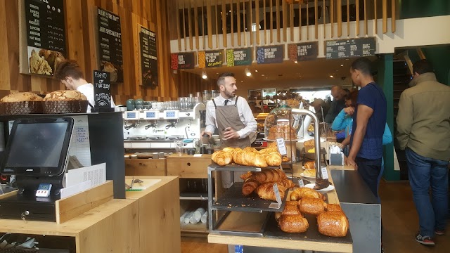 Arro Coffee - The Temple of Coffee