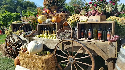 Photos of Gervasi Vineyard