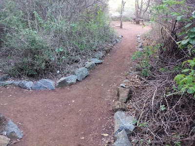 Photos of Camp Malta