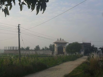 university