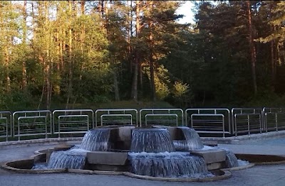 Photos of 'sosnovyy Bor'
