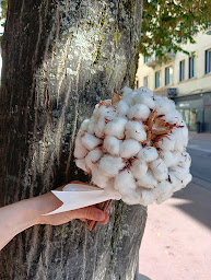 Photo n°16 de Les Filles de l’Air à Annecy (Fleuriste)