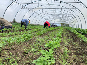 Photo n°4 de Ferme de Ker Madeleine à Saint-Gildas-des-Bois (Ferme bio)