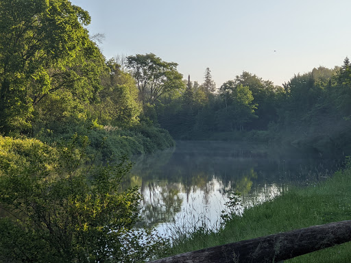 Merwin Creek Campground Gallery - United States
