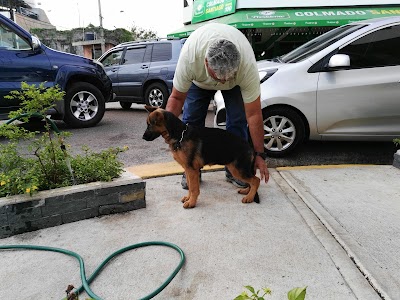 Photos of ASM - Veterinary
