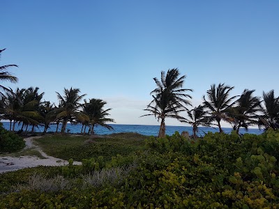 Photos of Long Bay
