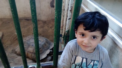 Photos of حديقة حيوان بنى سويف