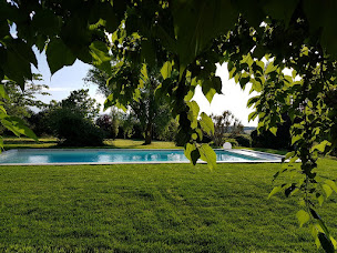 Photo n°11 de LE CHAMP DES MURIERS à Beaumont-de-Lomagne (Piscine extérieure)