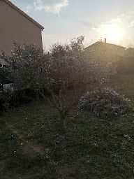 Photo n°12 de COULEUR JARDIN à Vals-les-Bains (Paysagiste)